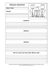 Pflanzensteckbriefvorlage-Tulpe.pdf